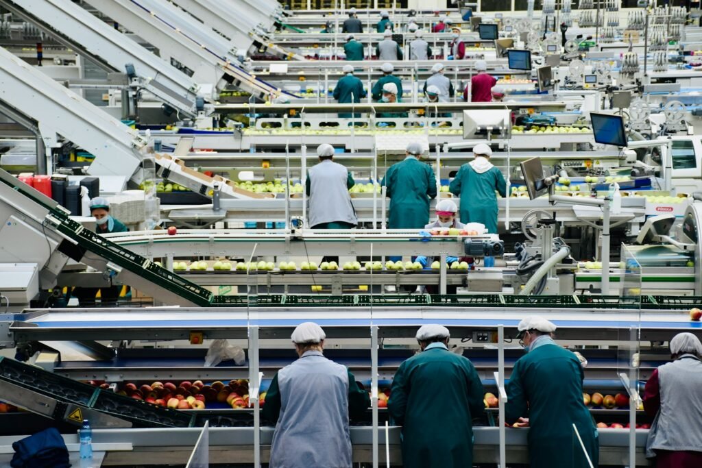 Técnicos revisando procesos dentro de una fábrica